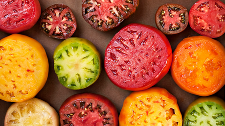 Saving Heirloom Tomato Seeds at Home
