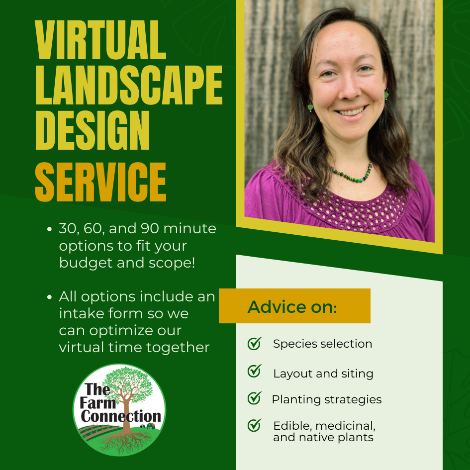 Virtual Landscape Design Consultations for Edible, Medicinal, and Native Plants