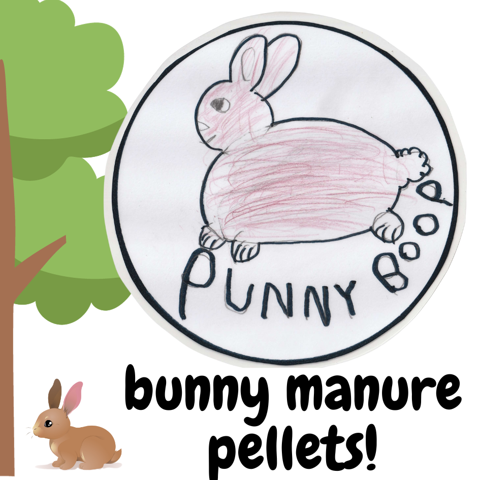 Bunny Manure Pellets
