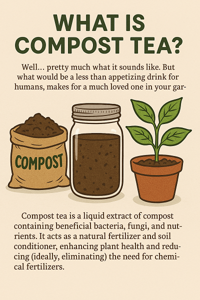 All About Compost Tea
