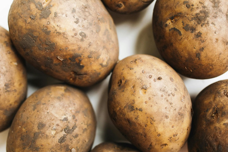 The Ultimate Guide on How To Grow Potatoes: From Seed to Storage