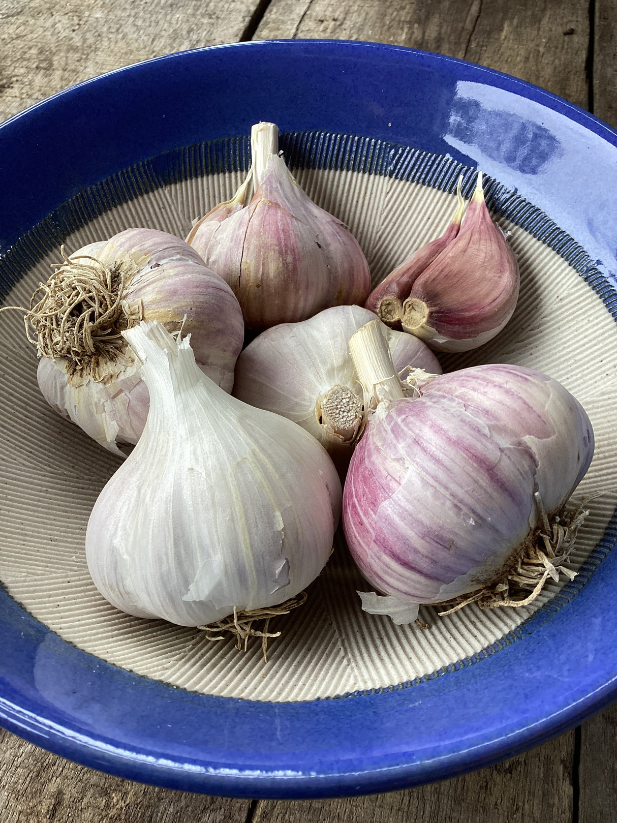 Romanian Red, Hardneck, Organic Seed Garlic