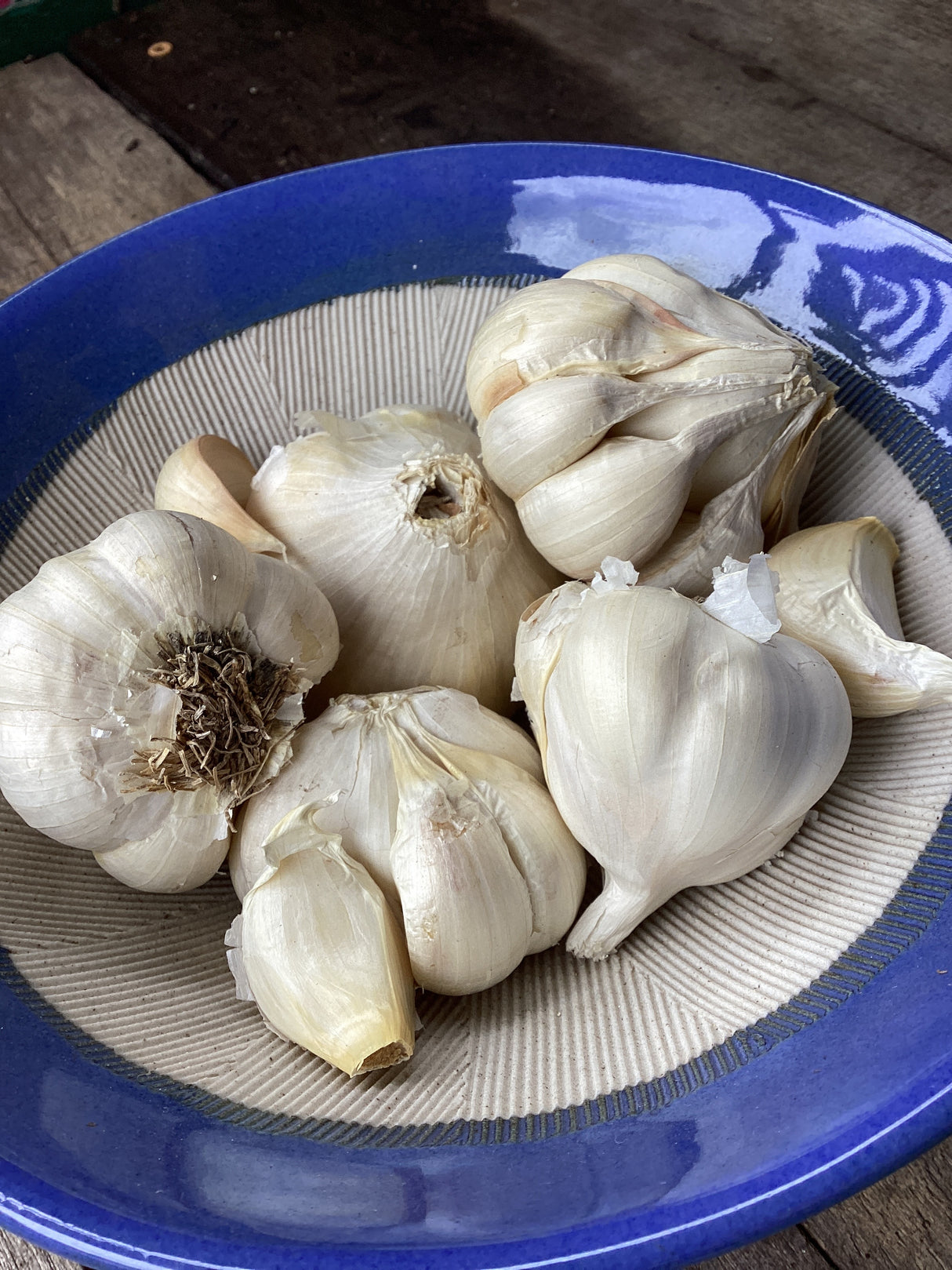 Inchelium Red, Softneck, Seed Garlic