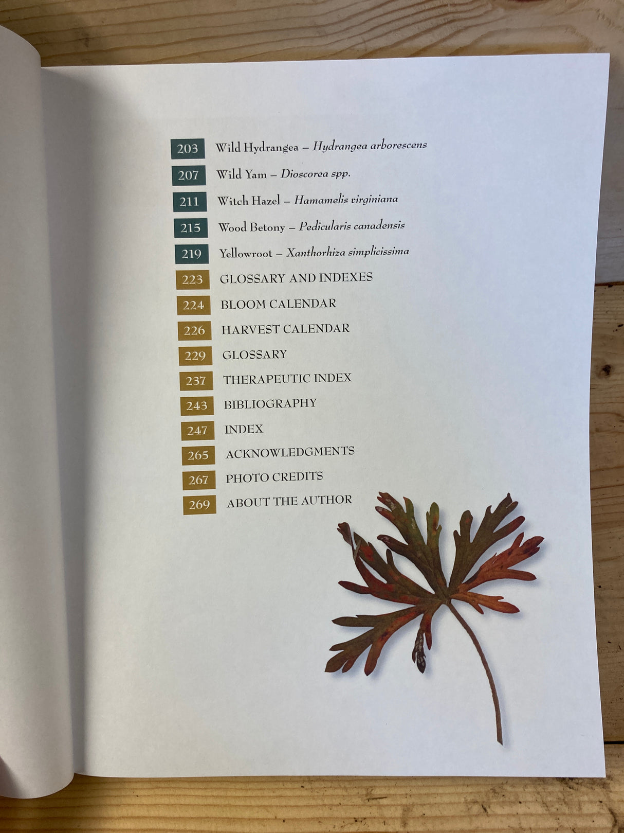 Medicinal Plants of the Southern Appalachians