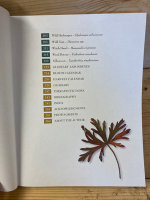 Medicinal Plants of the Southern Appalachians