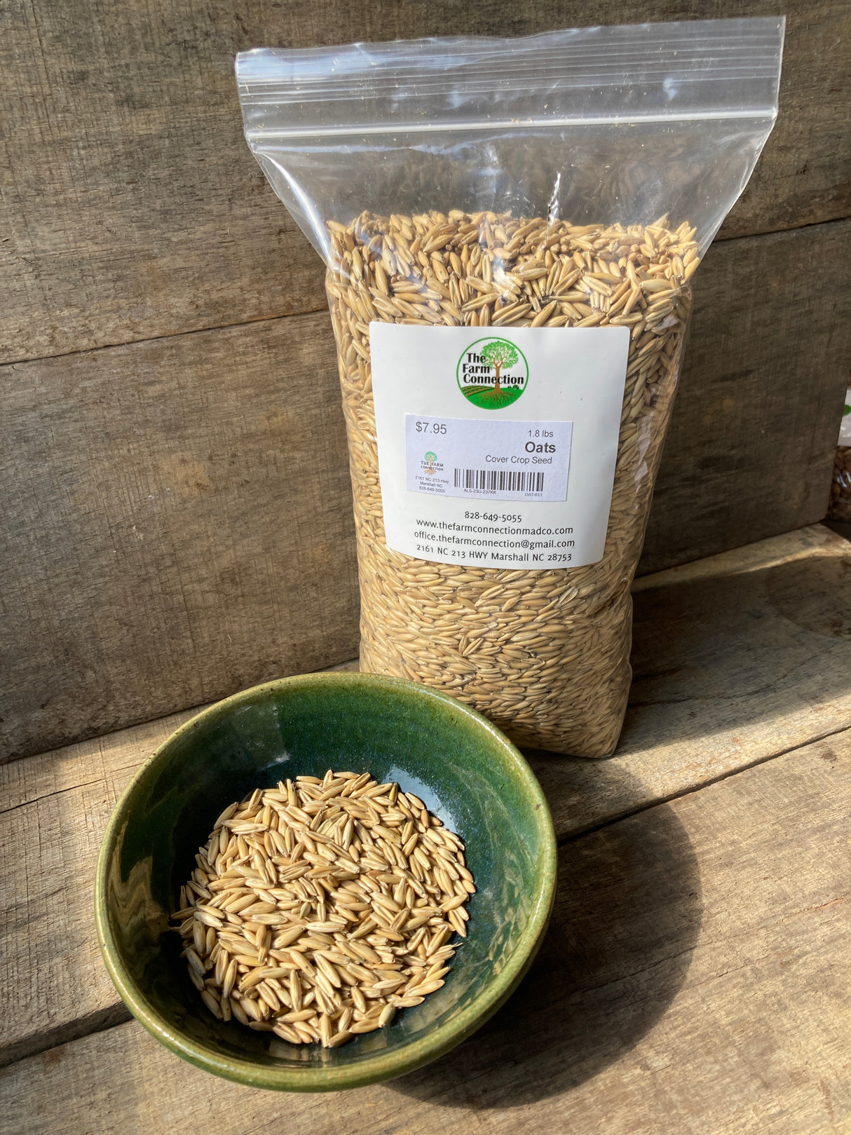 Spring Oats
