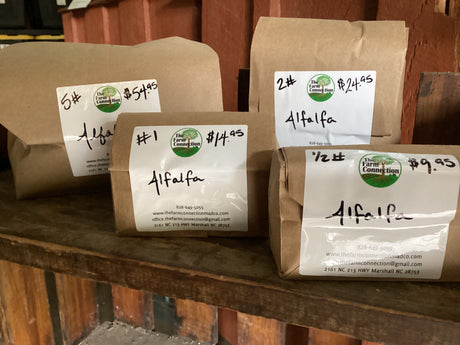 Alfalfa Seeds For Sale