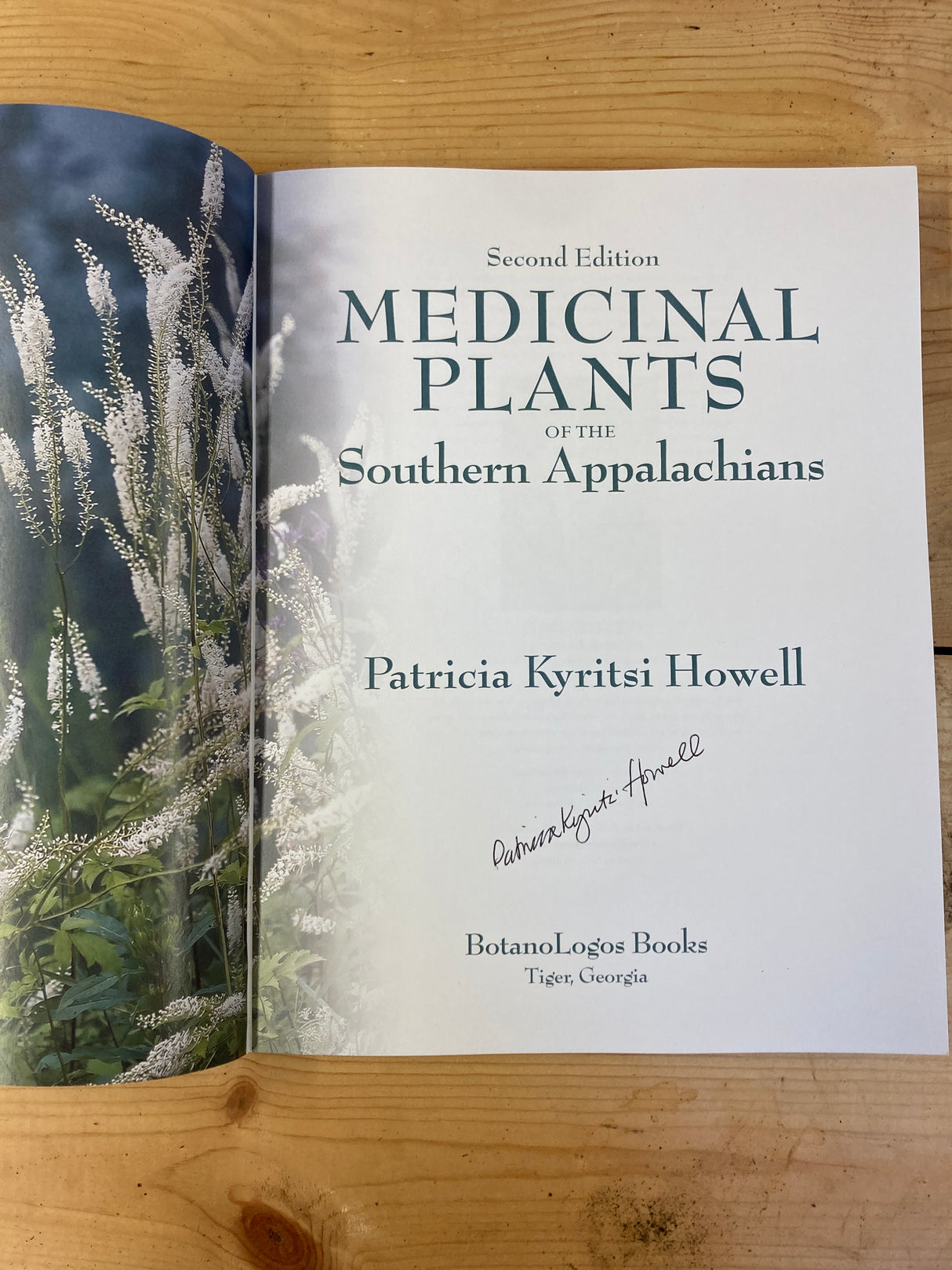 Medicinal Plants of the Southern Appalachians