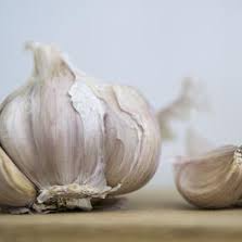 Blue Music hardneck seed garlic bulbs with streaked purple wrappers.