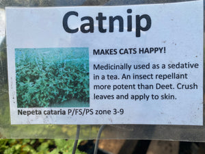 Catnip, Official