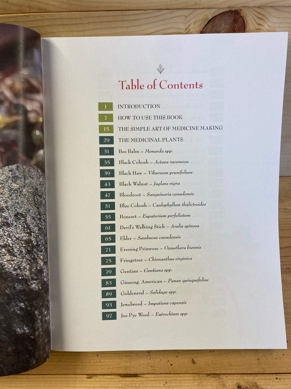 Medicinal Plants of the Southern Appalachians