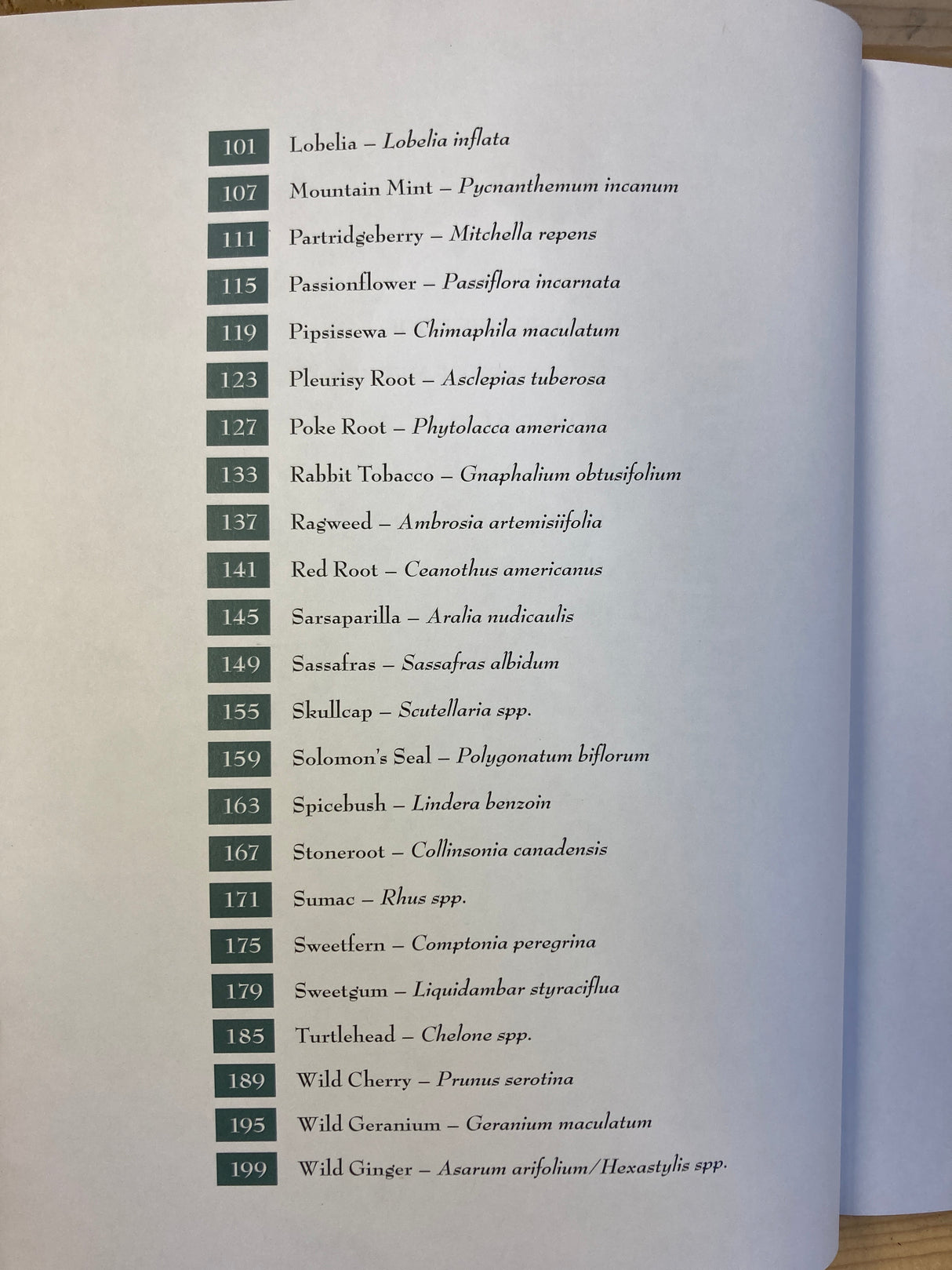 Medicinal Plants of the Southern Appalachians