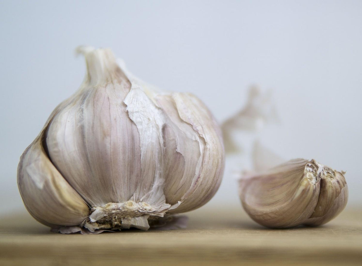 Bulb of garlic with 2 cloves broken off