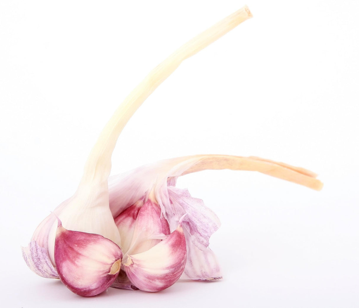 fresh garlic with purple skins slightly broken open to see individual cloves