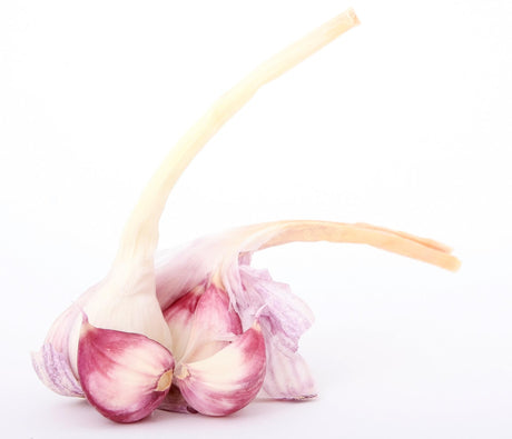 fresh garlic with purple skins slightly broken open to see individual cloves