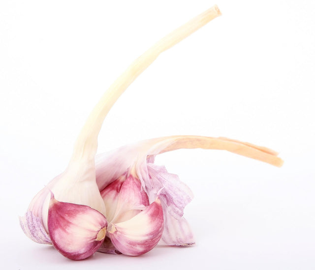 fresh garlic with purple skins slightly broken open to see individual cloves