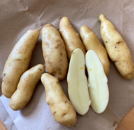 Laratte Fingerling Sustainable Seed Potatoes For Sale