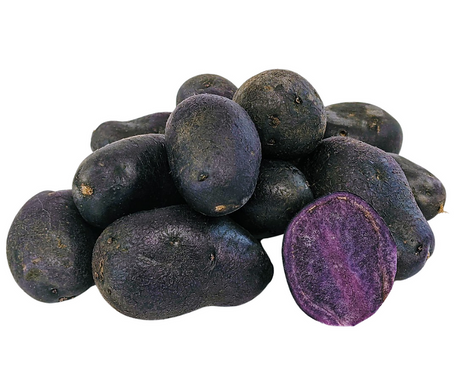 Magic Molly Fingerling Conventional Seed Potato For Sale