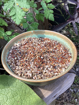 Native Wildflower Grazing Seed Mix For Sale