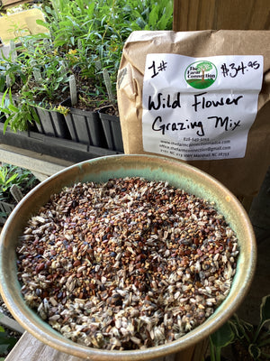 Native Wildflower Grazing Seed Mix For Sale