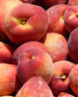 Red Haven Peach Tree For Sale