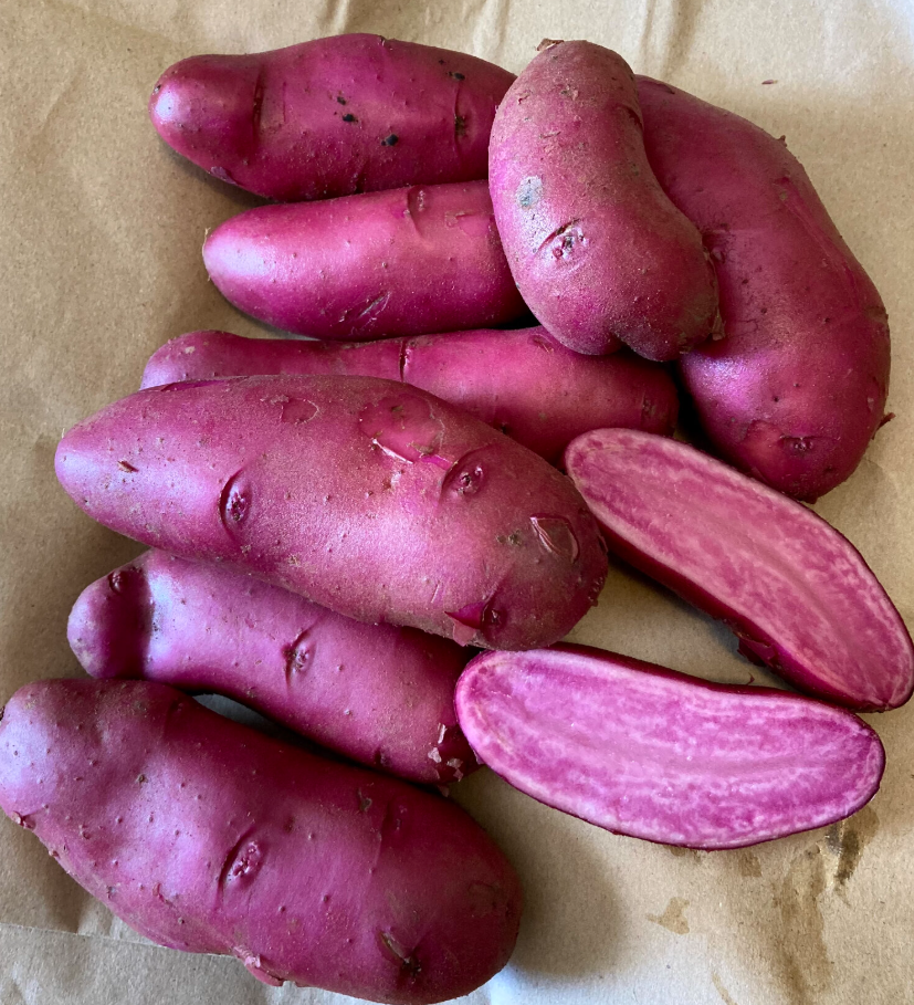 Potato Ama Rosa Organic Seeds For Sale