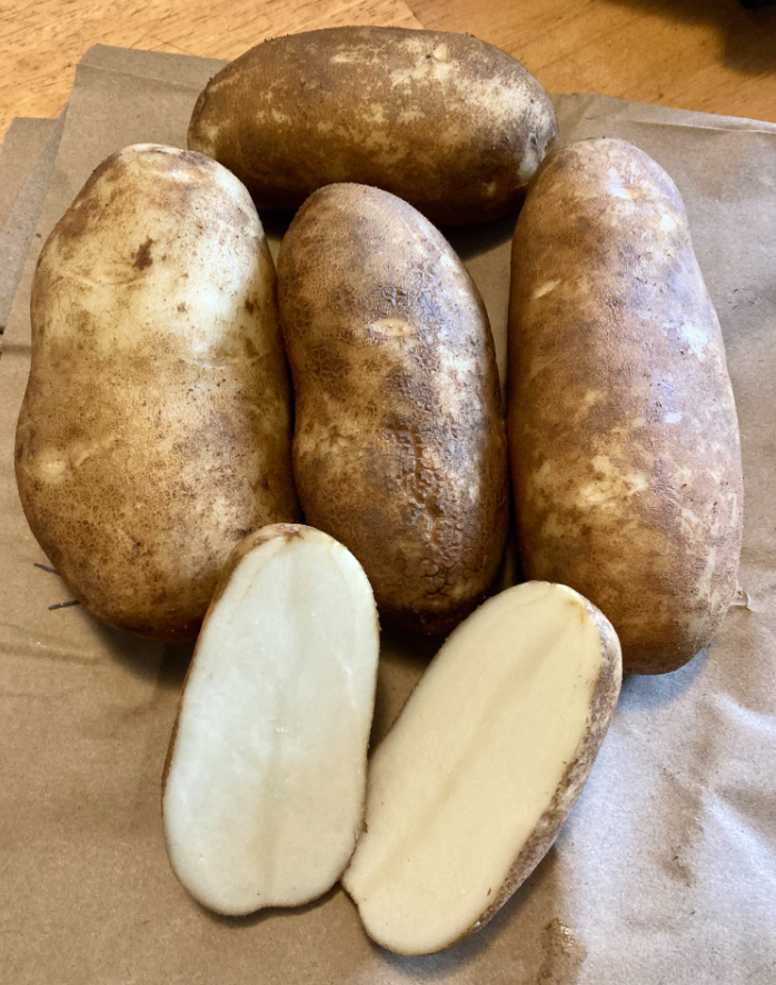 Potato Caribou Organic Seeds For Sale