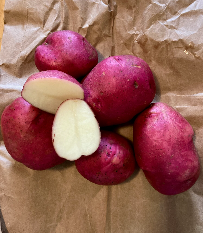 Potato Dark Red Norland Organic Seeds For Sale