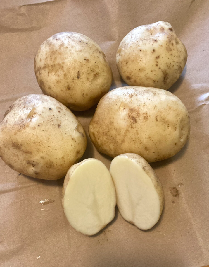 Potato Eva Organic Seeds For Sale