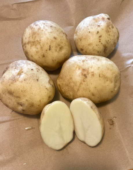 Potato Eva Organic Seeds For Sale