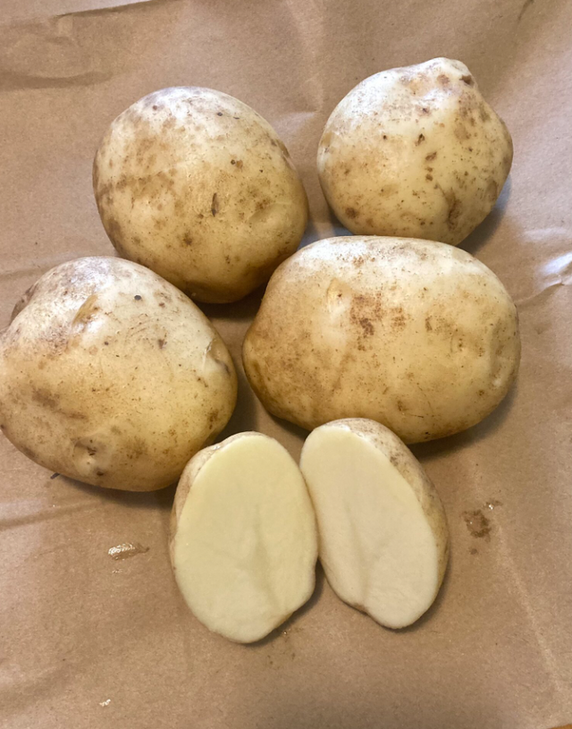 Potato Eva Organic Seeds For Sale