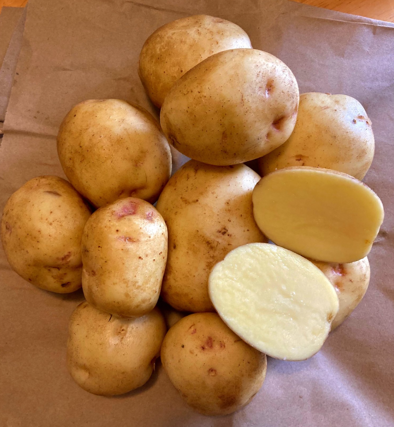 Potato Keuka Gold Organic Seeds For Sale