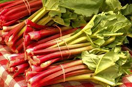 Rhubarb Canadian Red Bare Root Plant For Sale