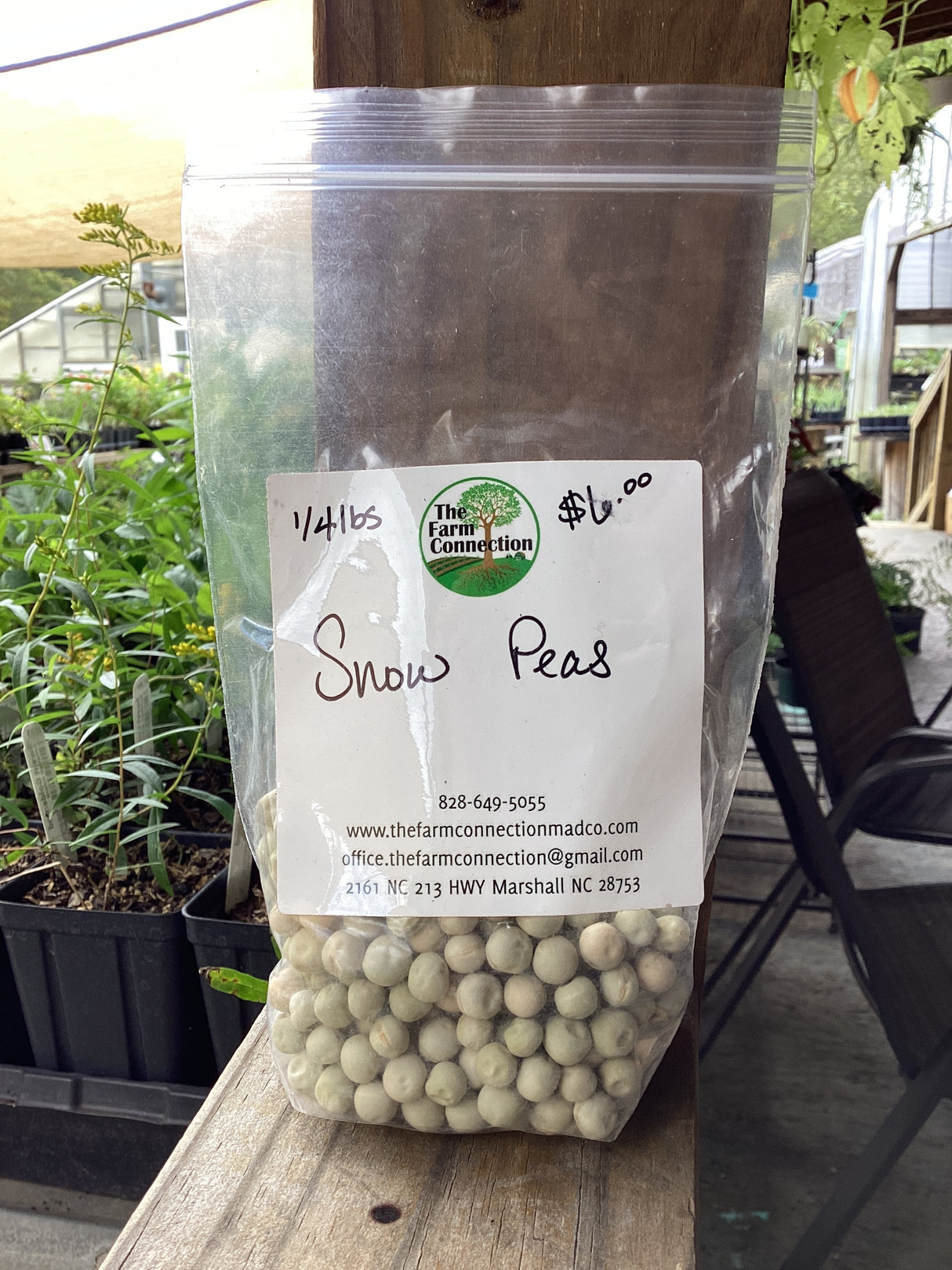 Seeds Pea, Oregon Sugar Pod Seeds For Sale