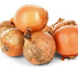 Spanish Sturon Yellow Onion Plant For Sale