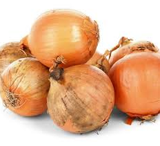 Spanish Sturon Yellow Onion Plant For Sale