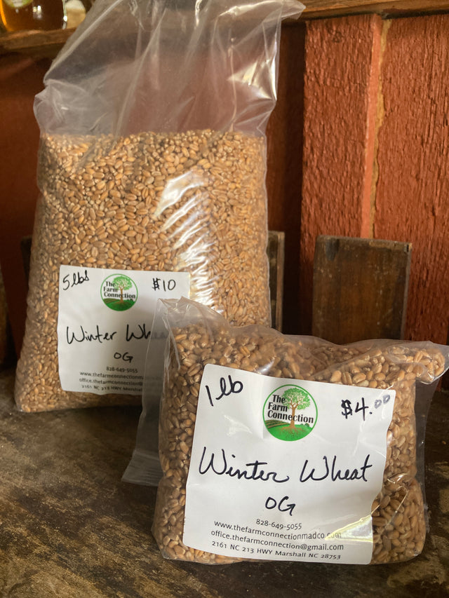 Winter Wheat - Organic For Sale