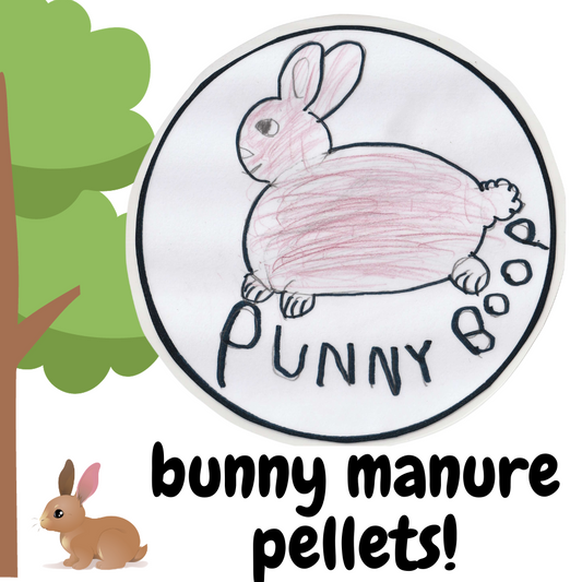 Bunny Manure Pellets