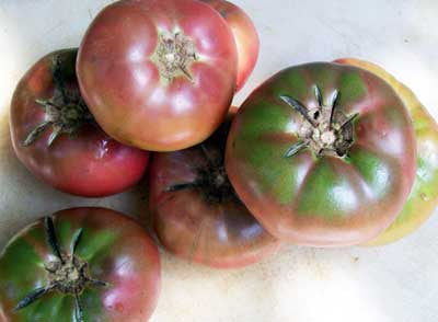 Seeds Tomato, Cherokee Purple