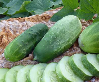 Seeds Cucumber, Homemade Pickles