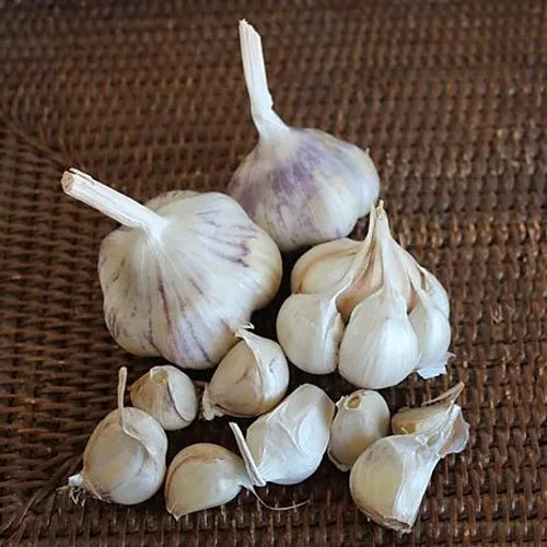 two bulbs of garlic and one broken apart on a dark brown woven natural material