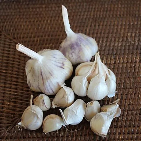 two bulbs of garlic and one broken apart on a dark brown woven natural material